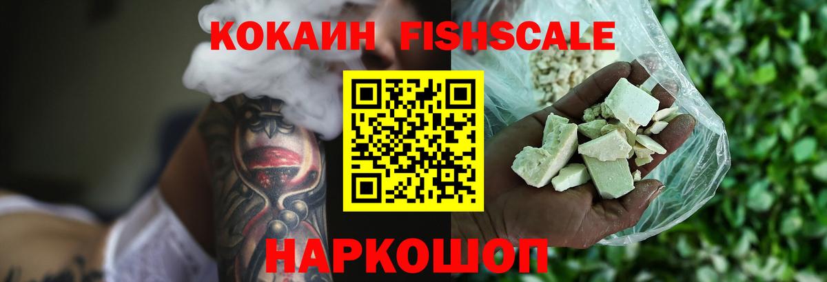 Cocaine FishScale Славгород