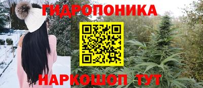 гидропоника Новозыбков