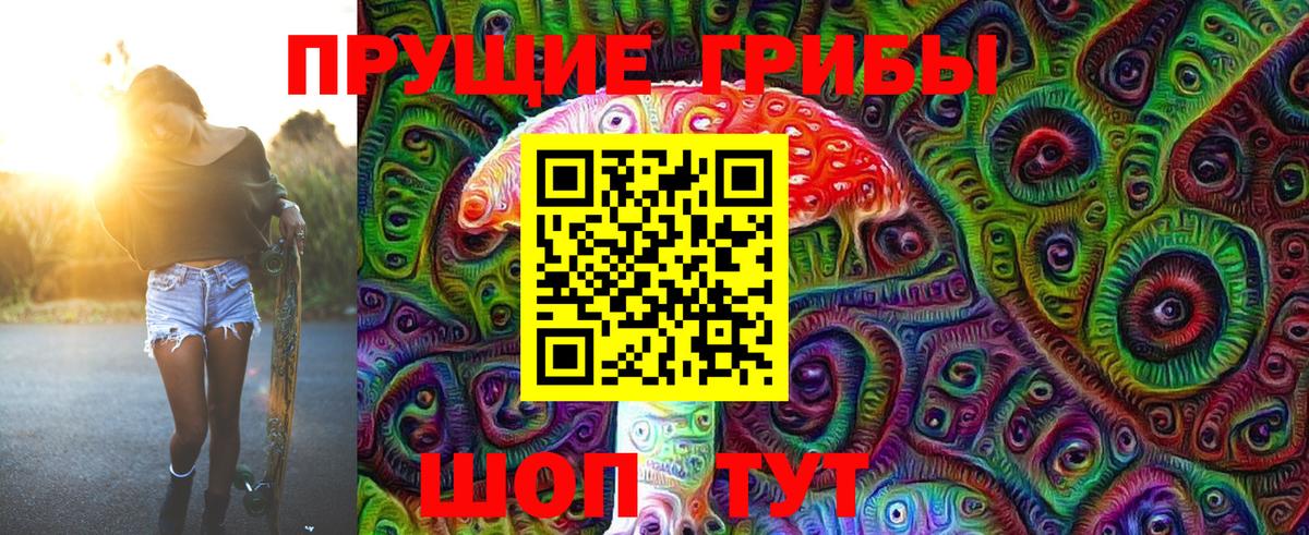 Псилоцибиновые грибы ЛСД  Вход с VPN  Славгород  Галлюциногенные грибы Psilocybe 